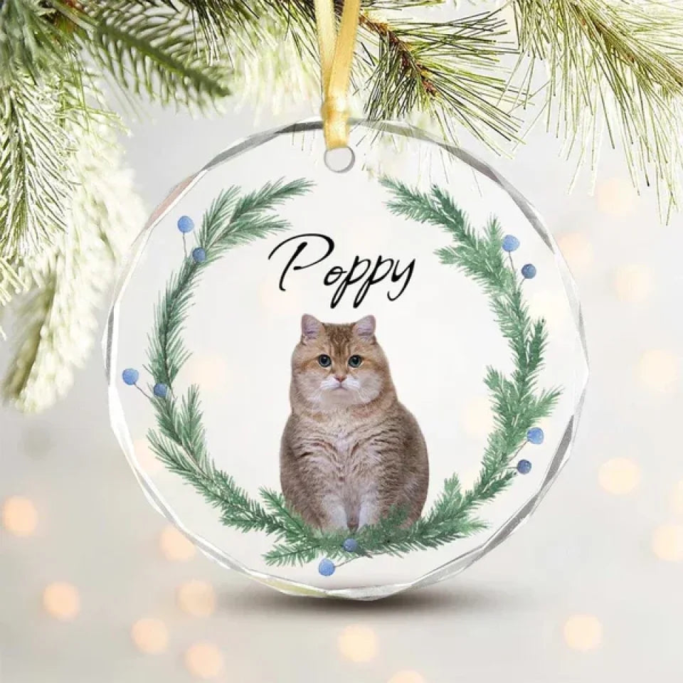 geckocustom-custom-cat-christmas-photo-for-cat-lovers-glass-circle-ornament-ho82-893056-36699094122673_600x